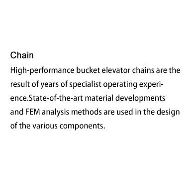 bucket elevator chain