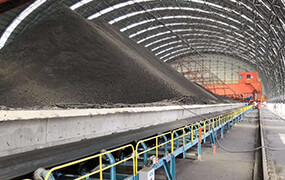Coal conveying system of power plant