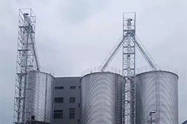 How to Reduce Broken Seed Rate of Grain Bucket Elevator During production