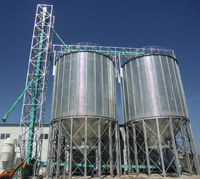 Optimization measures of special belt bucket elevator for compound fertilizer production with high tower granulation 