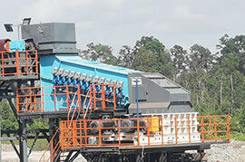 coal sizer for lignite