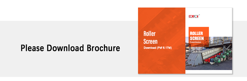 Roller Screen pdf
